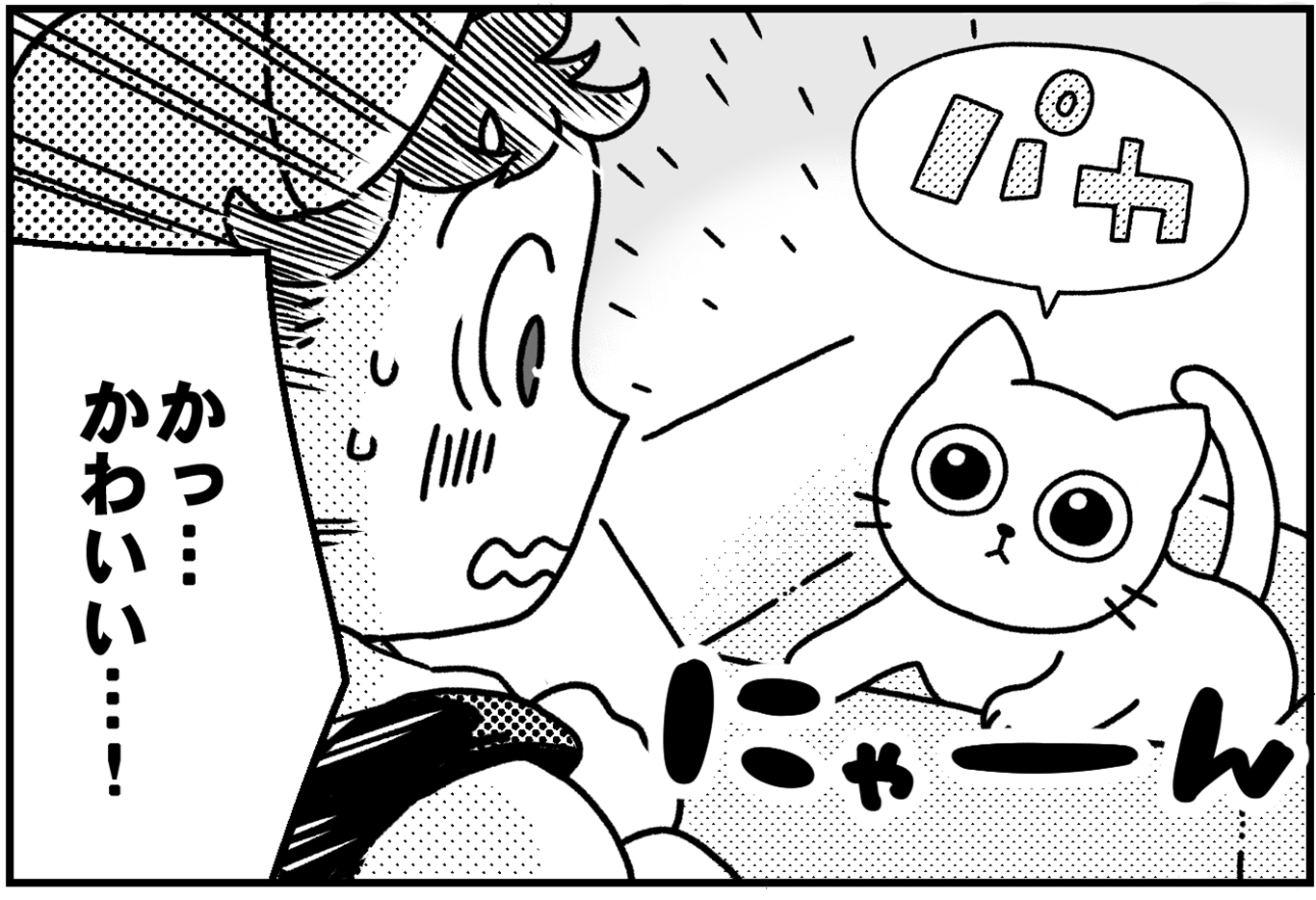 新潟市内の賃貸マンションに住む一家、猫を飼う？【新潟家族図鑑#01】